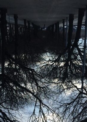 En upp och nedv&auml;nd bild av en all&eacute; kantad av tr&auml;d mot molnig himmel. L&auml;ngre bort skymtar parkerade bilar.