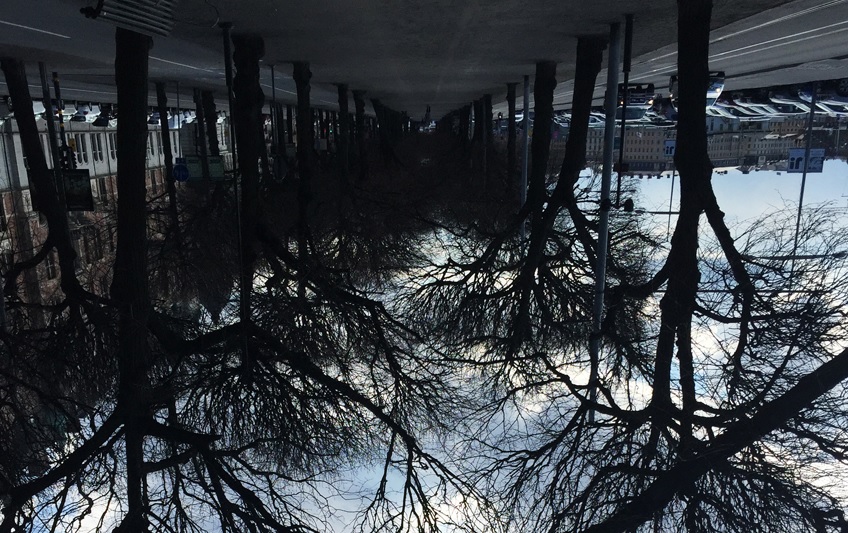 En upp och nedv&auml;nd bild av en all&eacute; kantad av tr&auml;d mot molnig himmel. L&auml;ngre bort skymtar parkerade bilar.