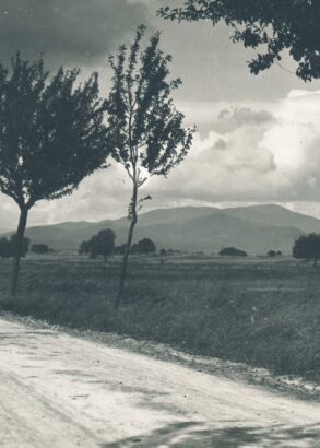 En landsv&auml;g kantad med tr&auml;d och l&auml;ngre bort ser man h&ouml;ga berg. Svartvit arkivbild.