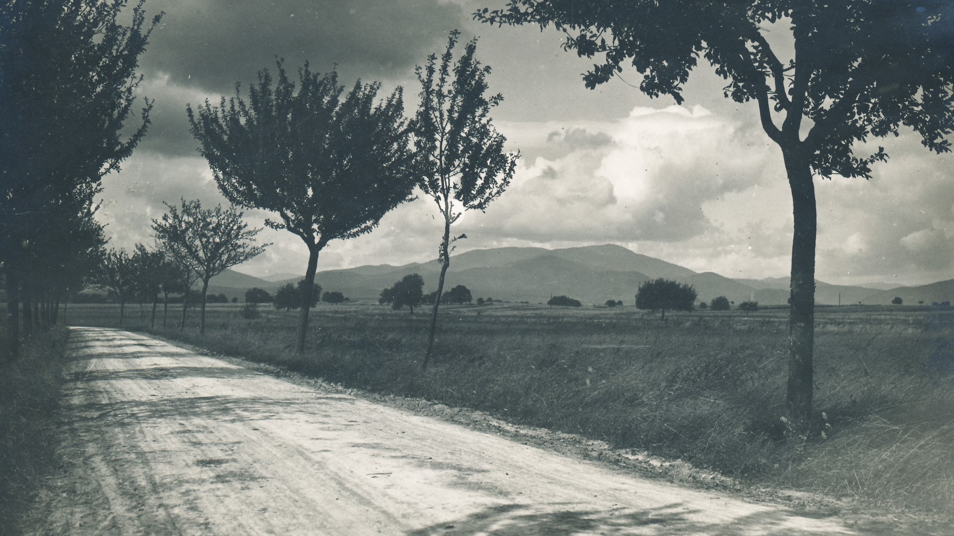 En landsv&auml;g kantad med tr&auml;d och l&auml;ngre bort ser man h&ouml;ga berg. Svartvit arkivbild.