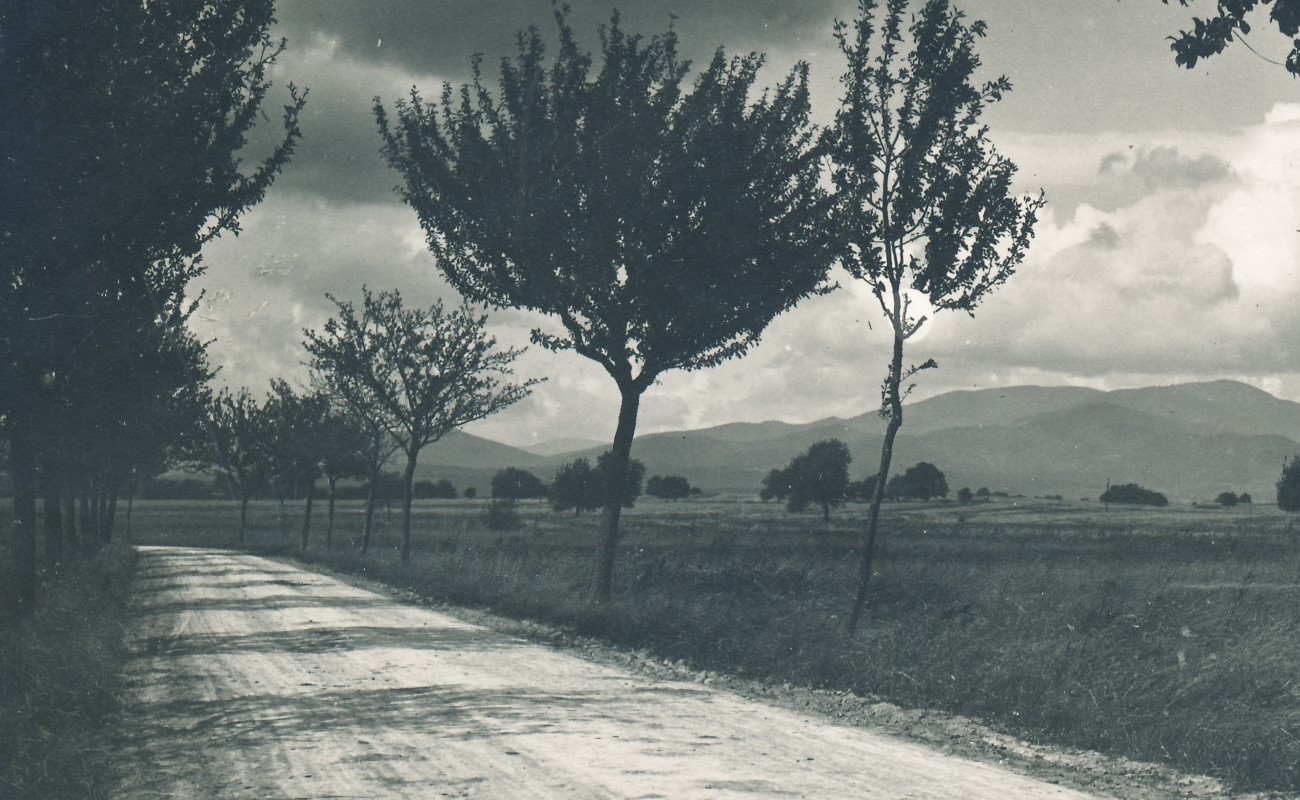 En landsv&auml;g kantad med tr&auml;d och l&auml;ngre bort ser man h&ouml;ga berg. Svartvit arkivbild.